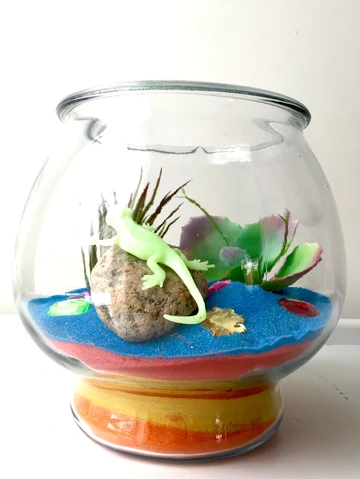 side view of the sand terrarium